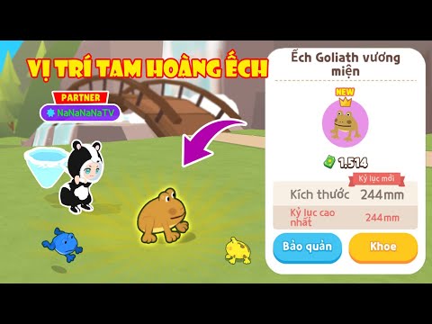 Vị trí bắt các loại ếch hiếm trong Play Together